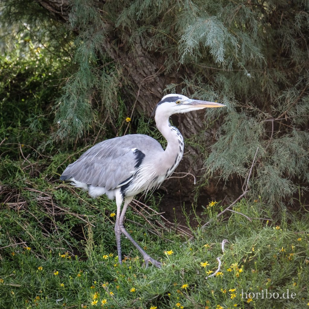 315_HR-22-09-08-17-51-29-1993