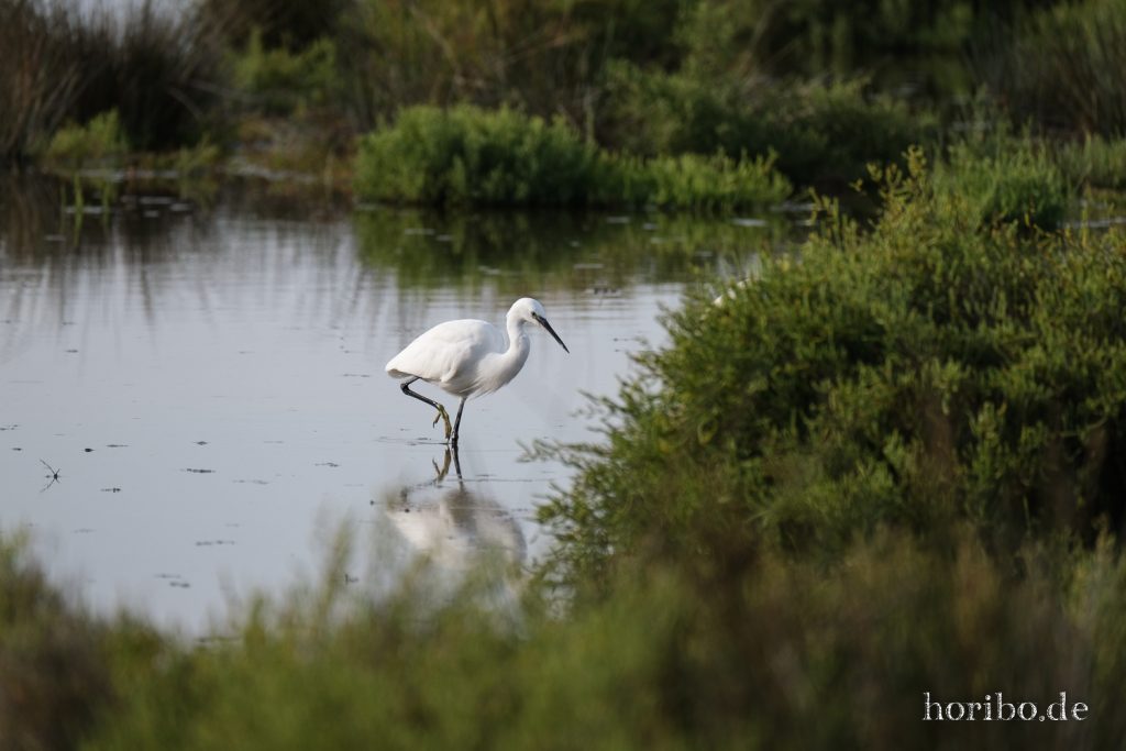 316_HR-22-09-08-17-56-40-2005