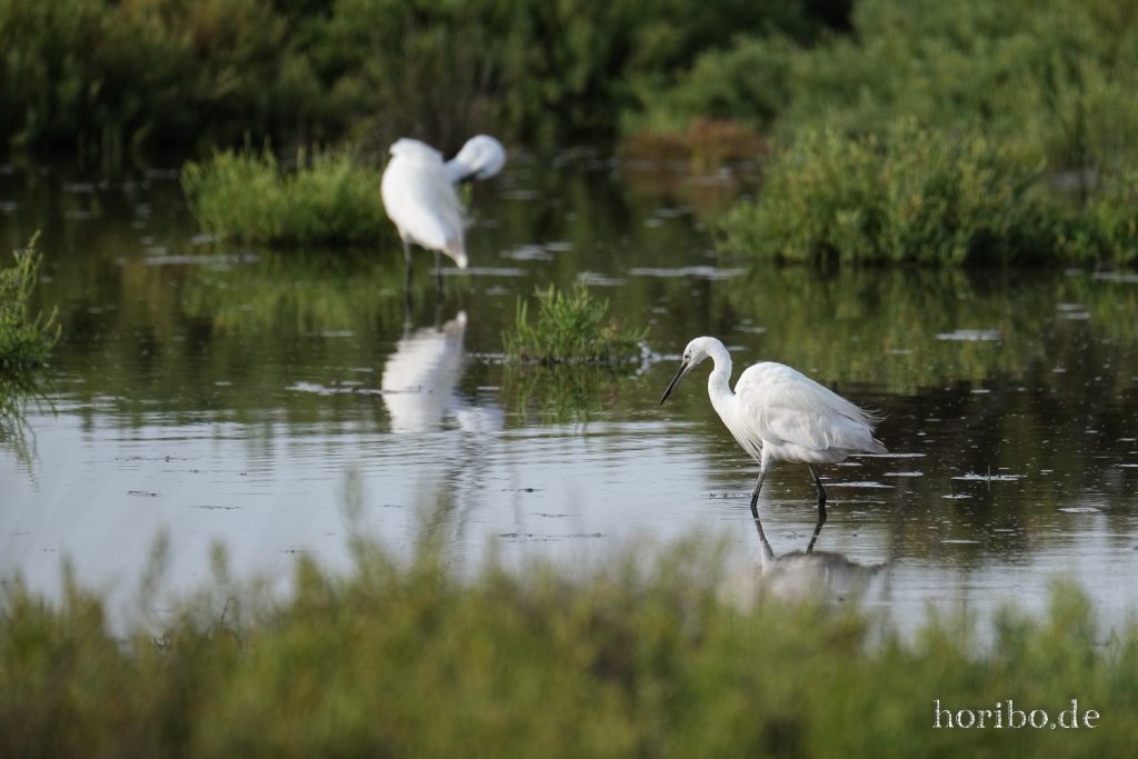 317_HR-22-09-08-17-56-48-2006