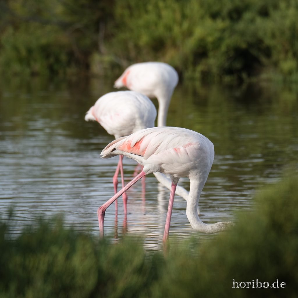 318_HR-22-09-08-17-57-59-2010