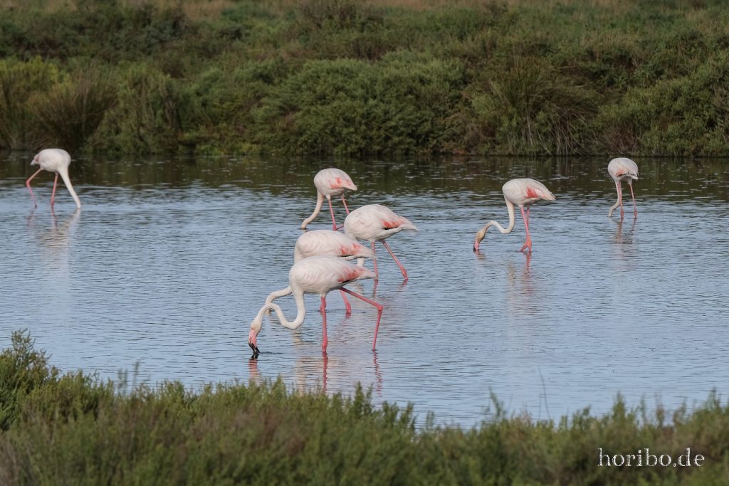 320_HR-22-09-08-18-01-10-2024