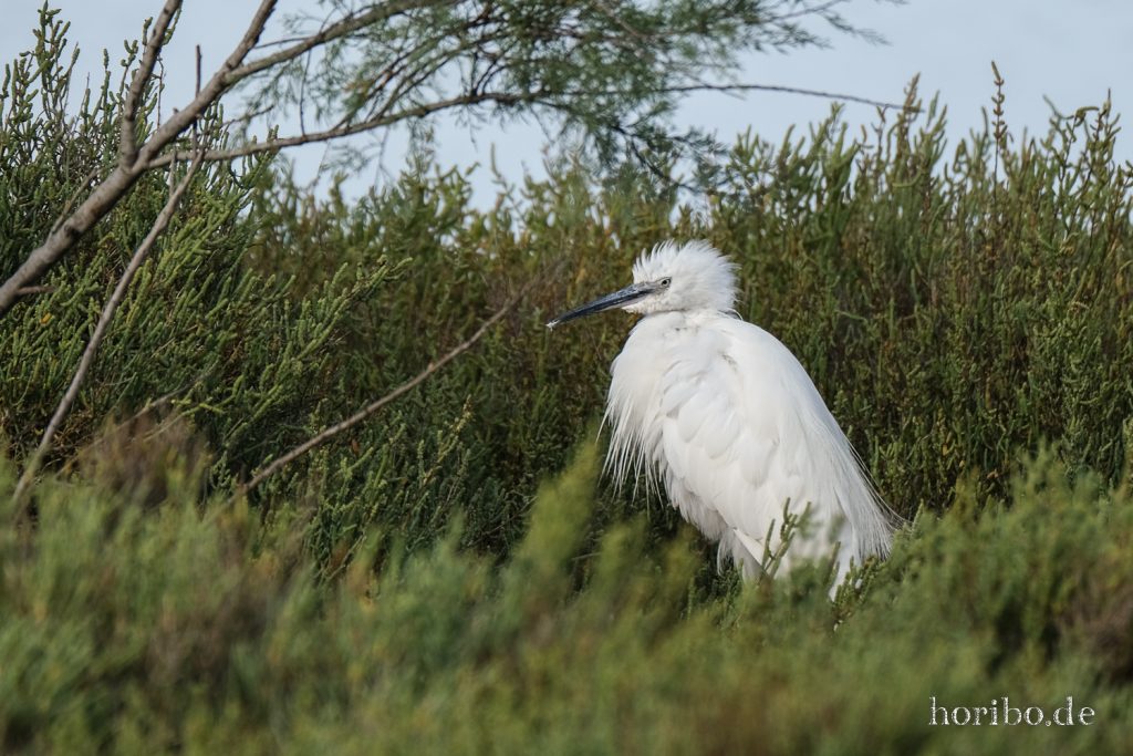 321_HR-22-09-08-18-01-20-2026