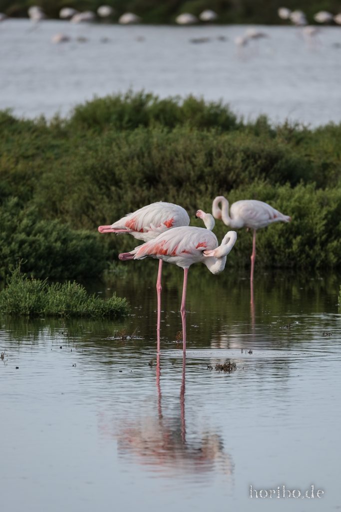 322_HR-22-09-08-18-01-47-2040