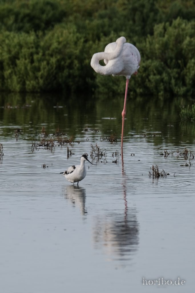 323_HR-22-09-08-18-01-57-2045