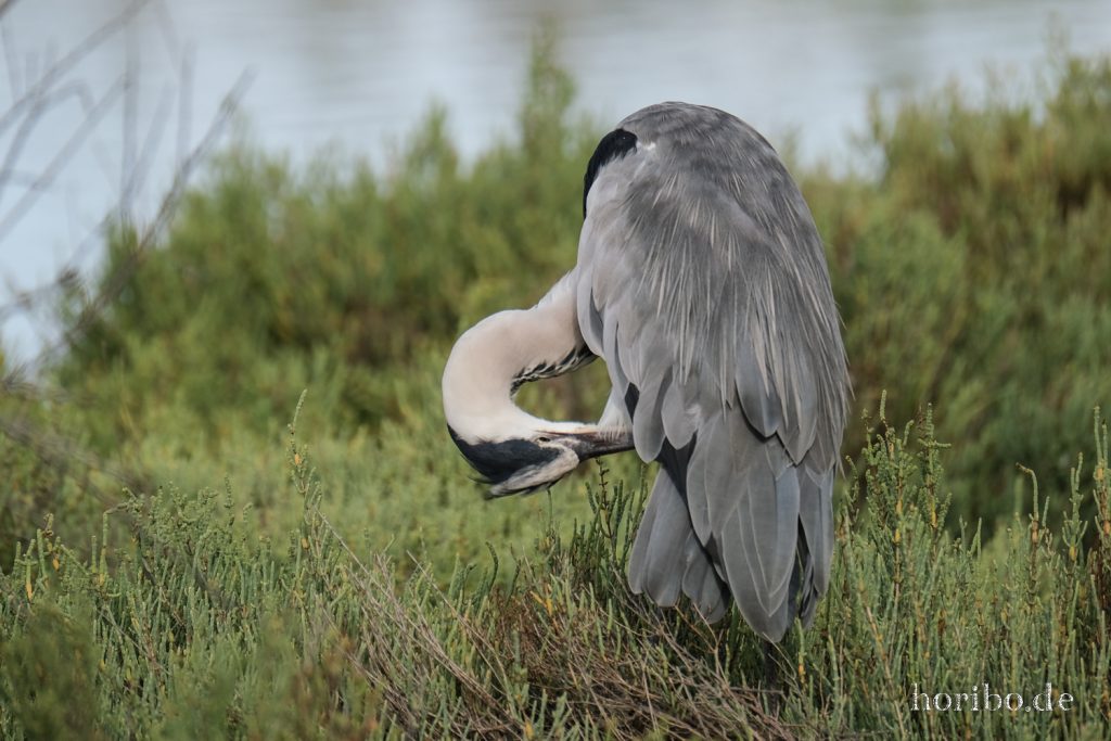 324_HR-22-09-08-18-02-19-2049