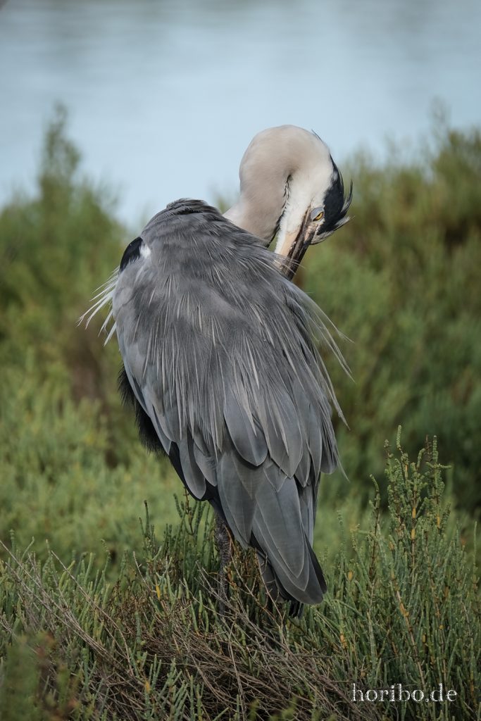 325_HR-22-09-08-18-03-46-2055