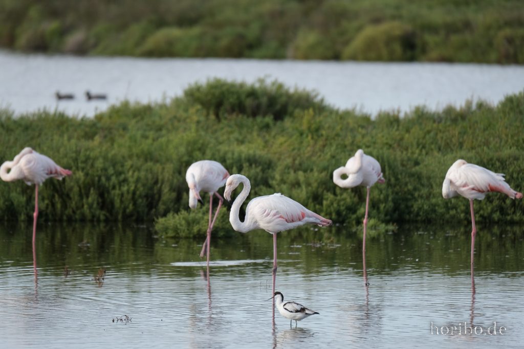 326_HR-22-09-08-18-04-26-2057