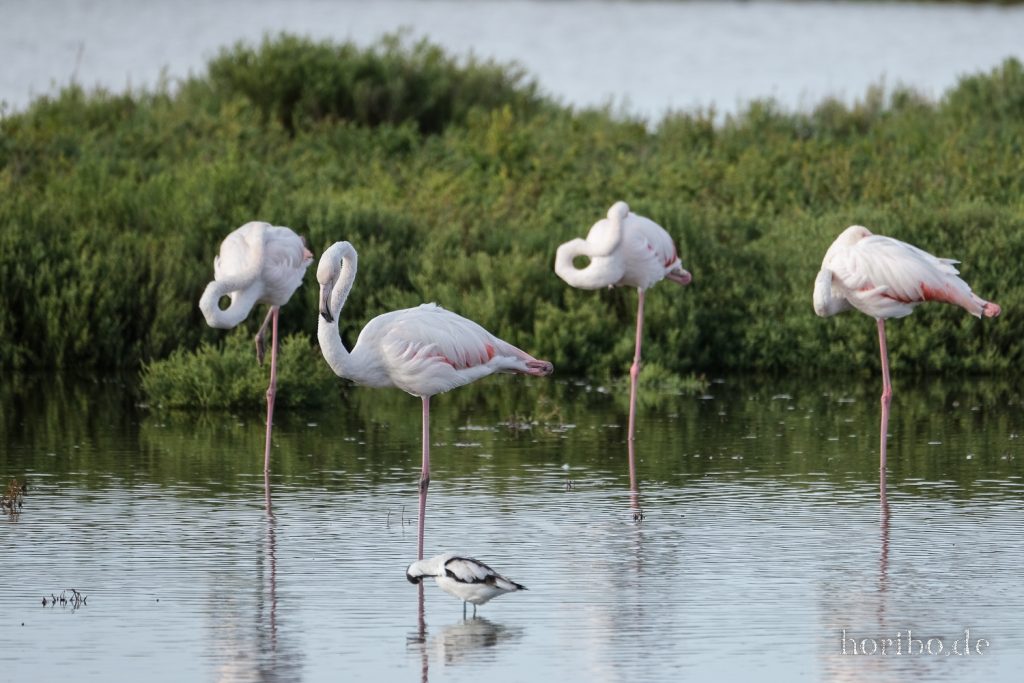 327_HR-22-09-08-18-04-43-2060