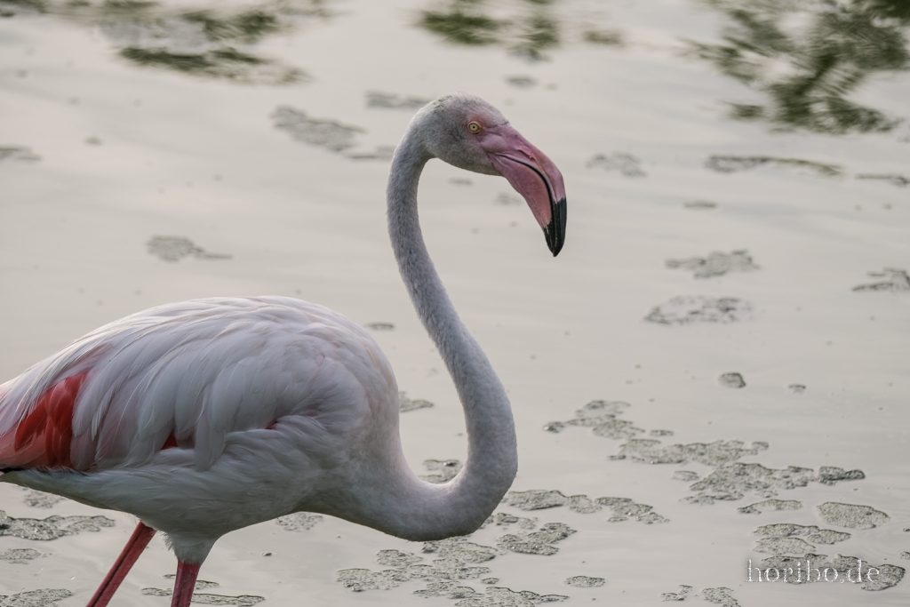 328_HR-22-09-08-18-11-23-2067