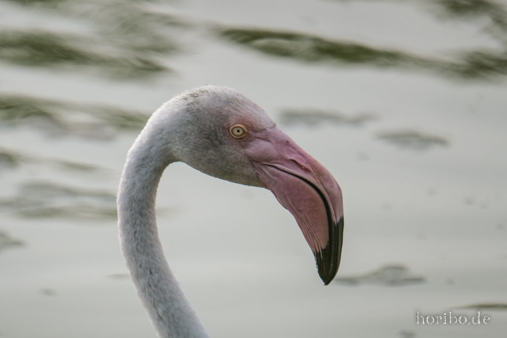 329_HR-22-09-08-18-11-28-2070