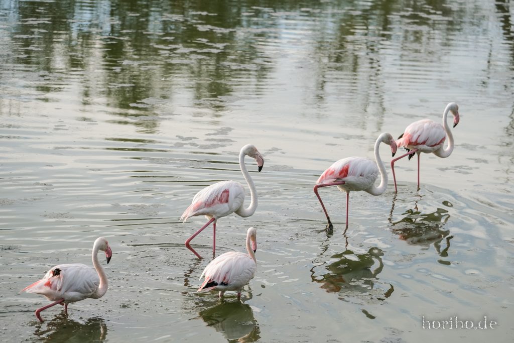 330_HR-22-09-08-18-11-53-2090