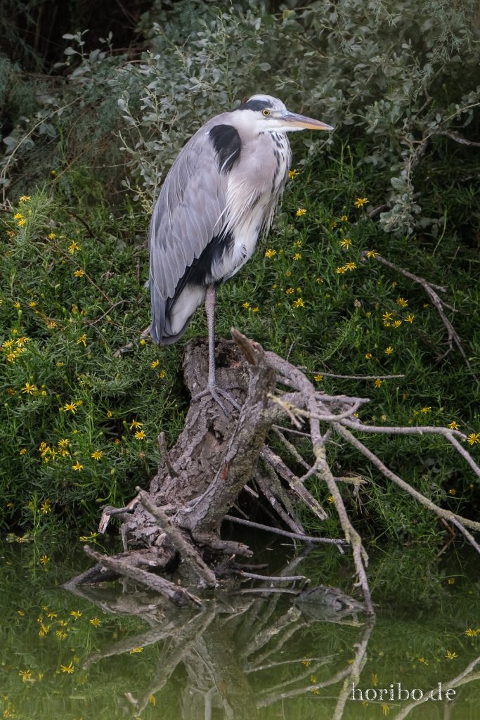 331_HR-22-09-08-18-17-04-2103