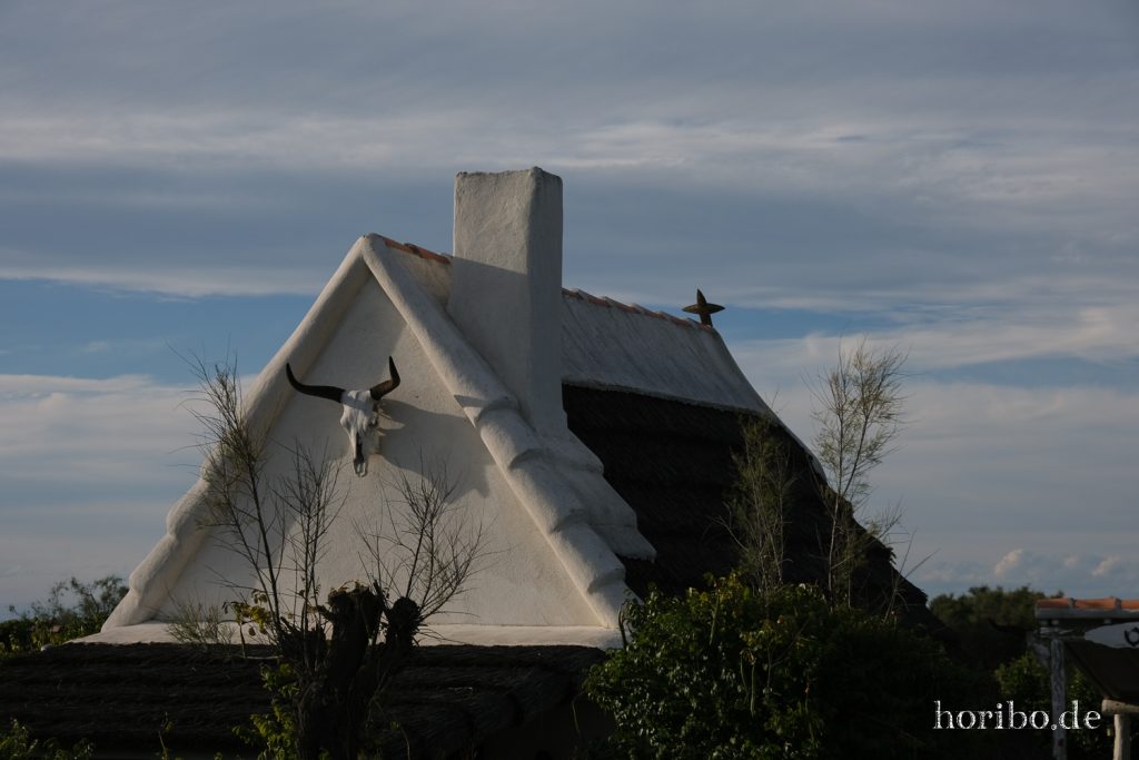 334_HR-22-09-08-18-39-26-2117