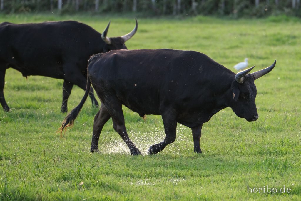 341_HR-22-09-08-19-03-20-2151