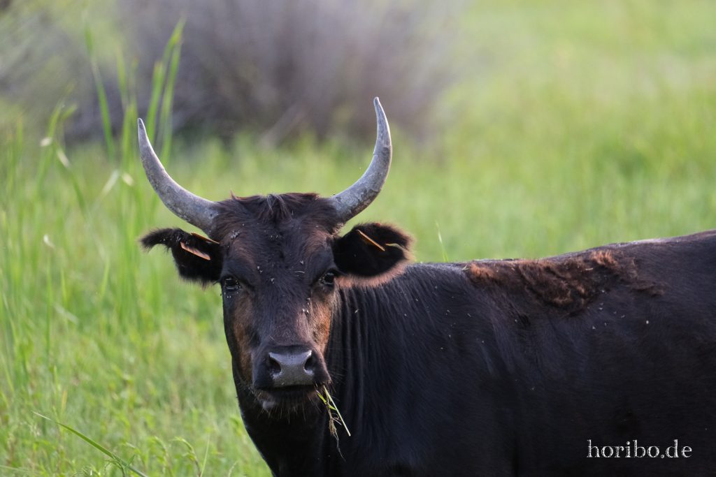 344_HR-22-09-08-19-22-35-2172