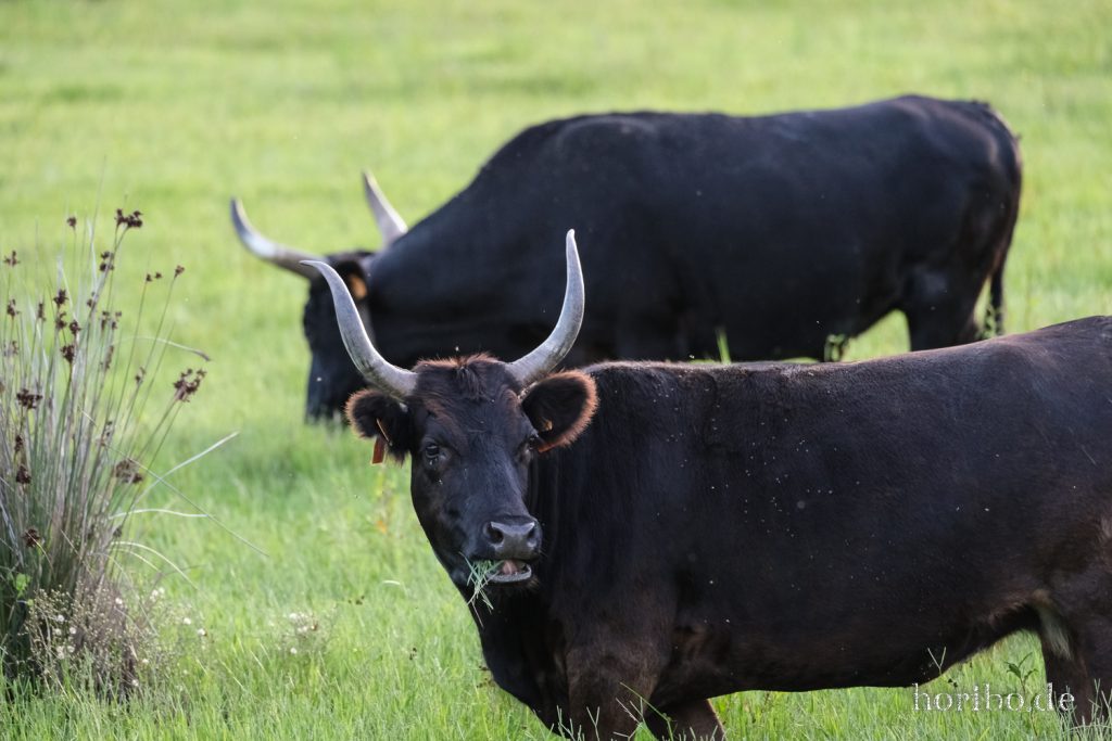 345_HR-22-09-08-19-23-58-2188