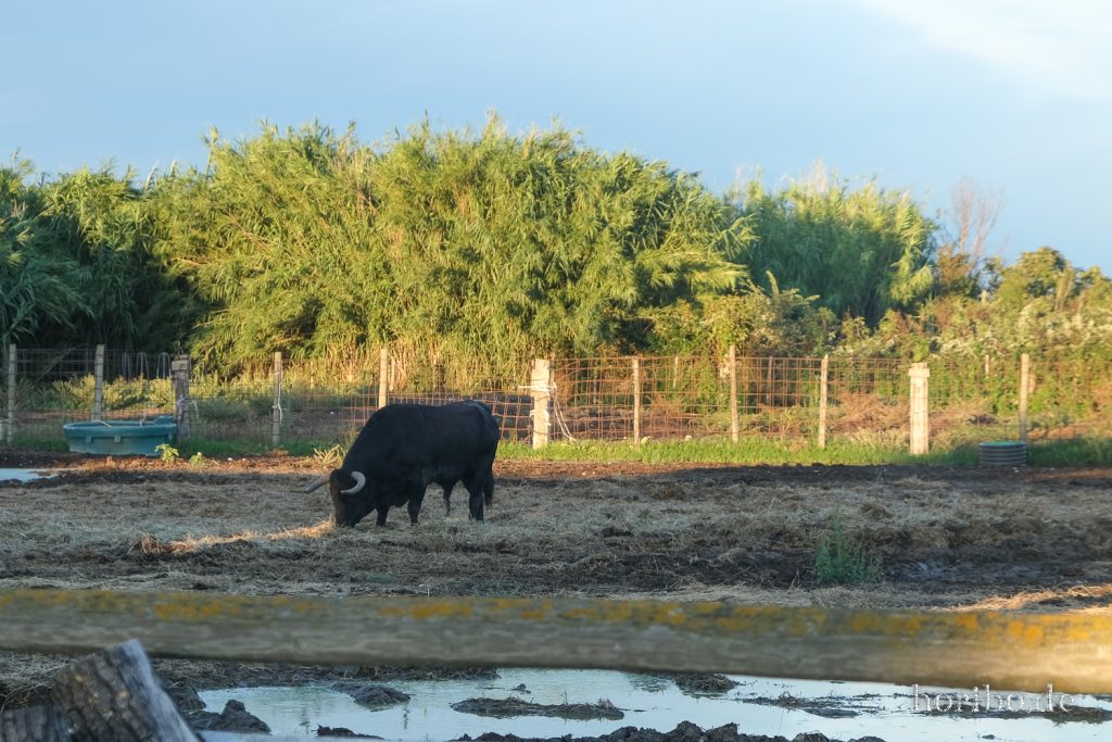 347_HR-22-09-08-19-42-02-2208