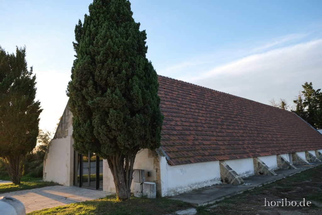 348_HR-22-09-08-19-45-35-2215