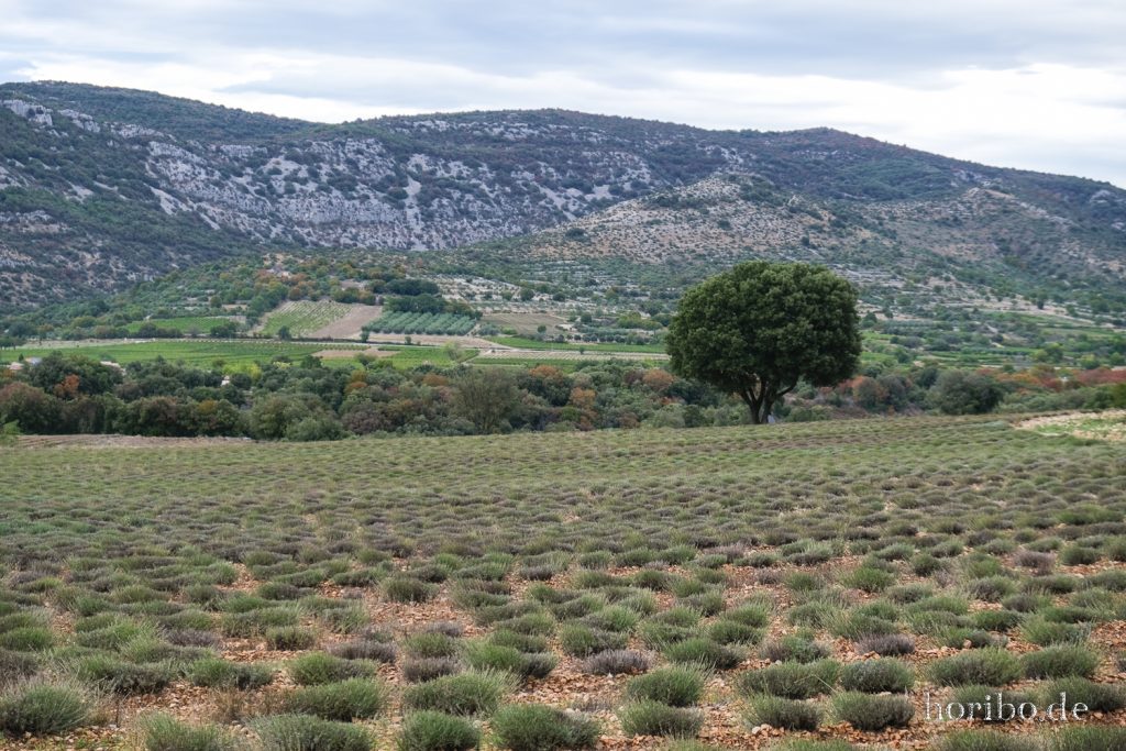 352_HR-22-09-09-08-56-01-2222