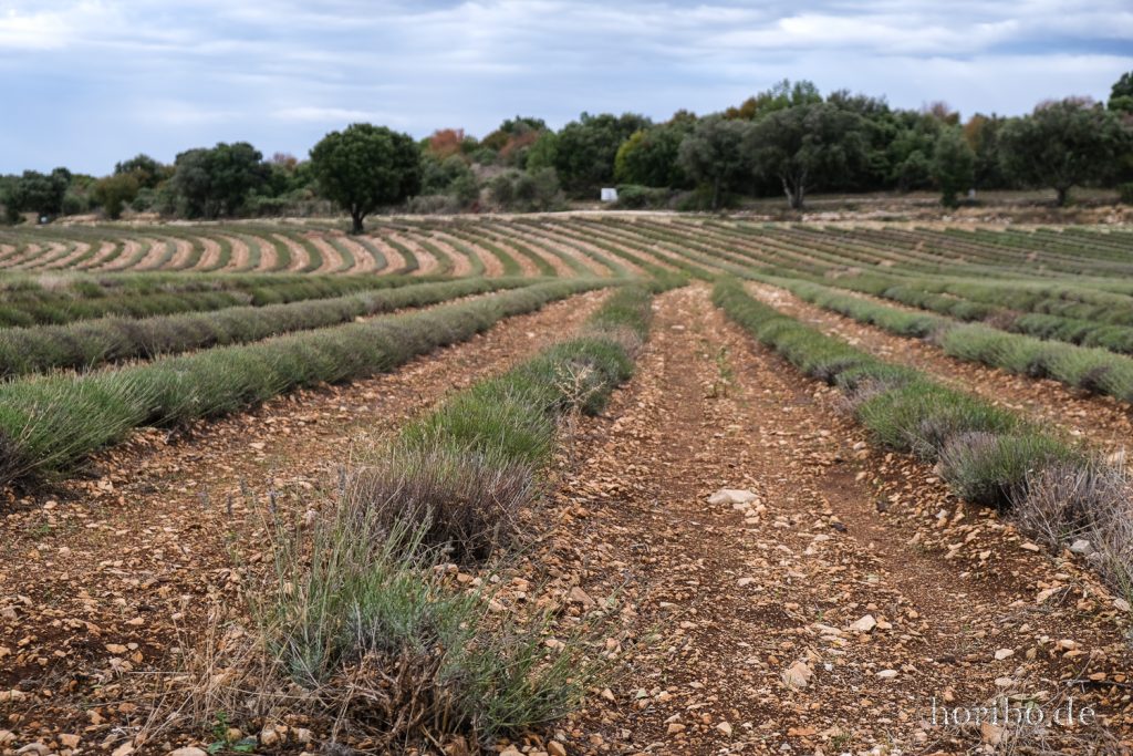 354_HR-22-09-09-08-59-27-2224