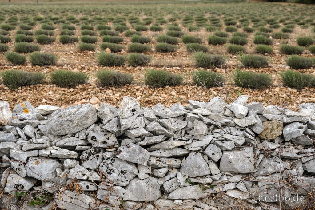 359_HR-22-09-09-09-03-13-2236