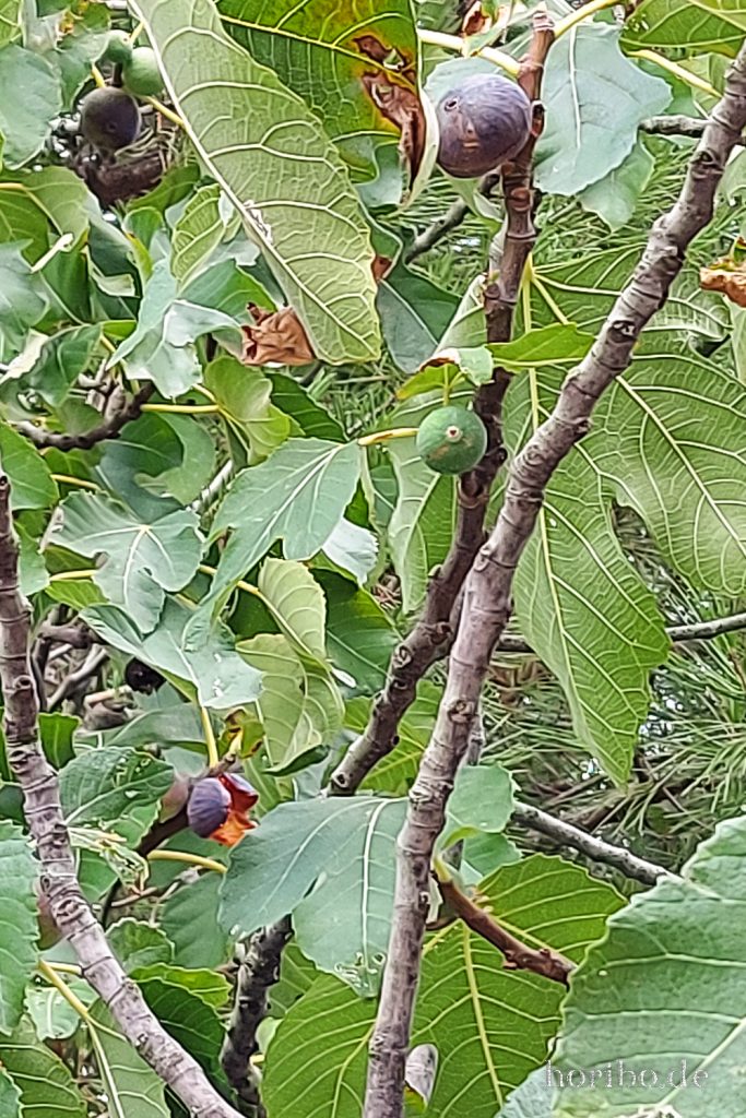 360_HR-22-09-09-09-04-42-090442