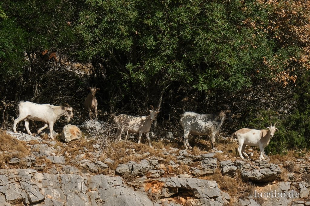 377_HR-22-09-09-10-38-27-2327