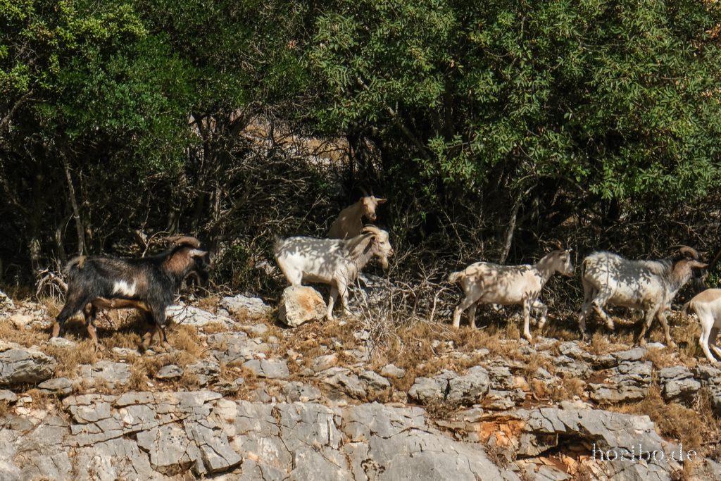 378_HR-22-09-09-10-38-31-2333