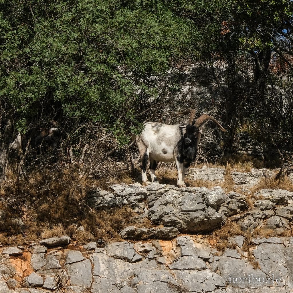 379_HR-22-09-09-10-38-37-2334