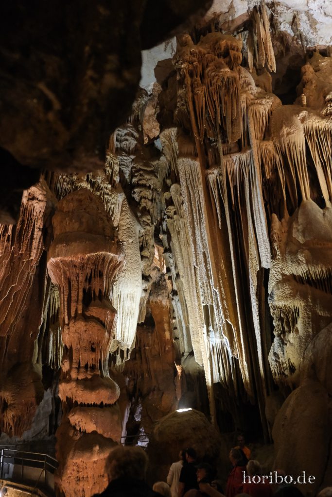 390_HR-22-09-09-11-17-25-2391