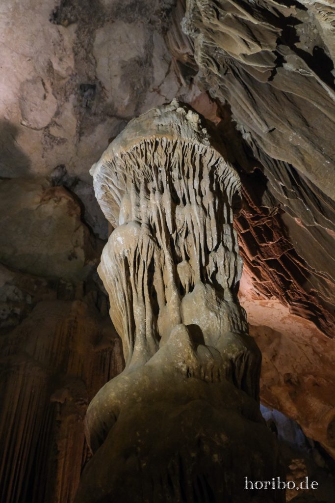 392_HR-22-09-09-11-20-56-2401