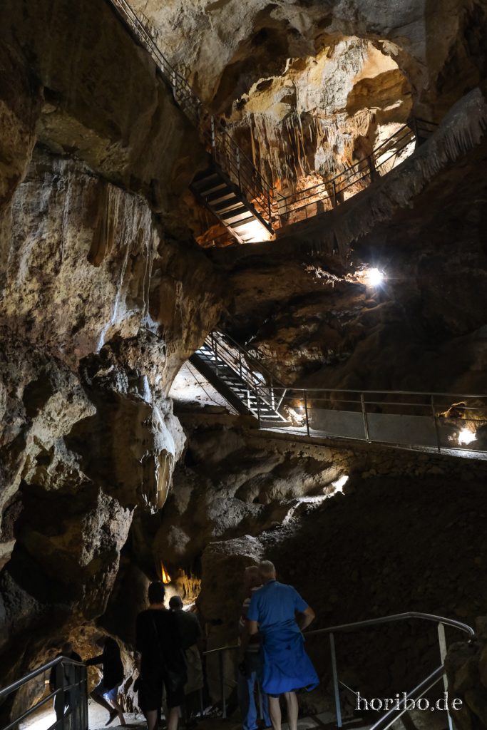 397_HR-22-09-09-11-31-44-2425