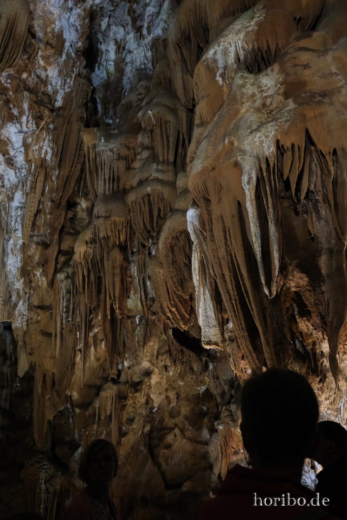 400_HR-22-09-09-11-43-43-2445