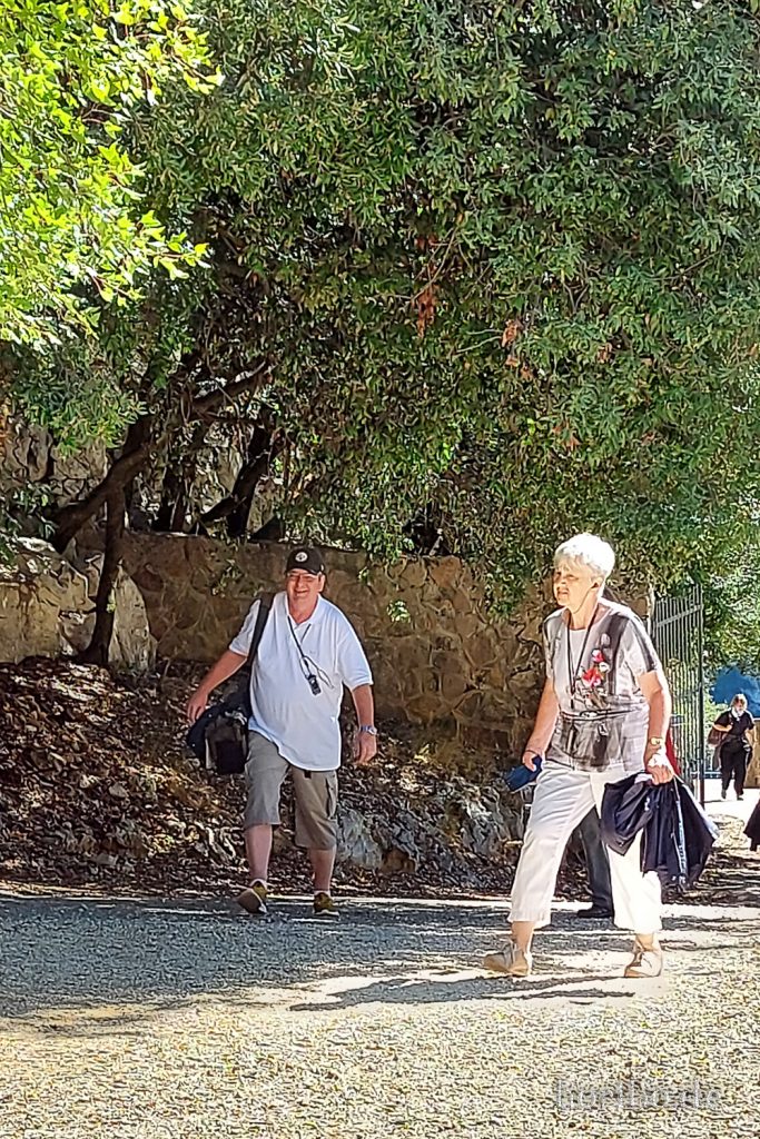 403_HR-22-09-09-11-52-11-115211