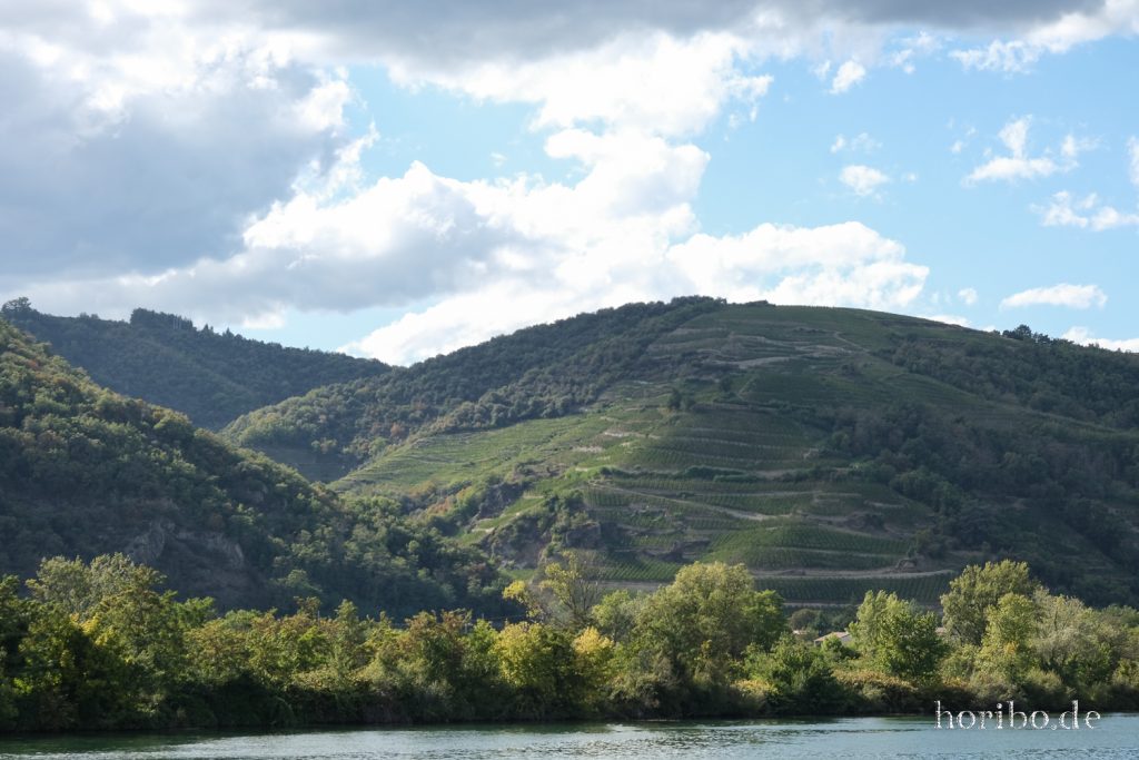 407_HR-22-09-09-17-01-18-2477