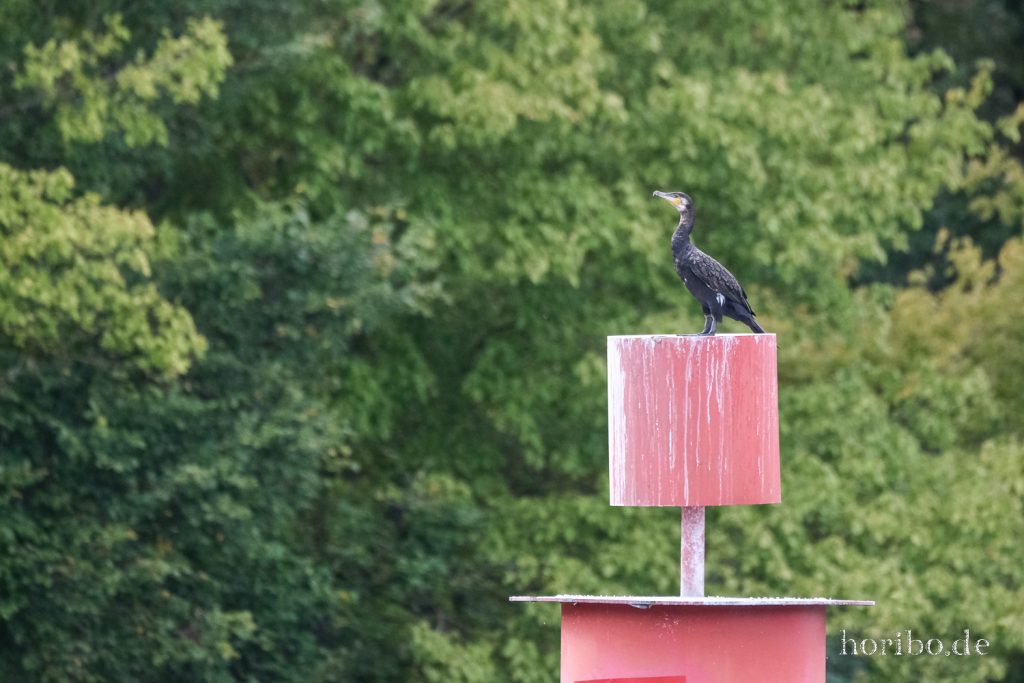 411_HR-22-09-09-17-42-39-2528