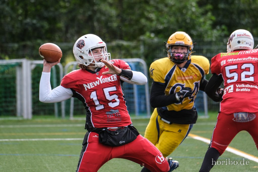 HR-22-09-25-17-01-08-3464