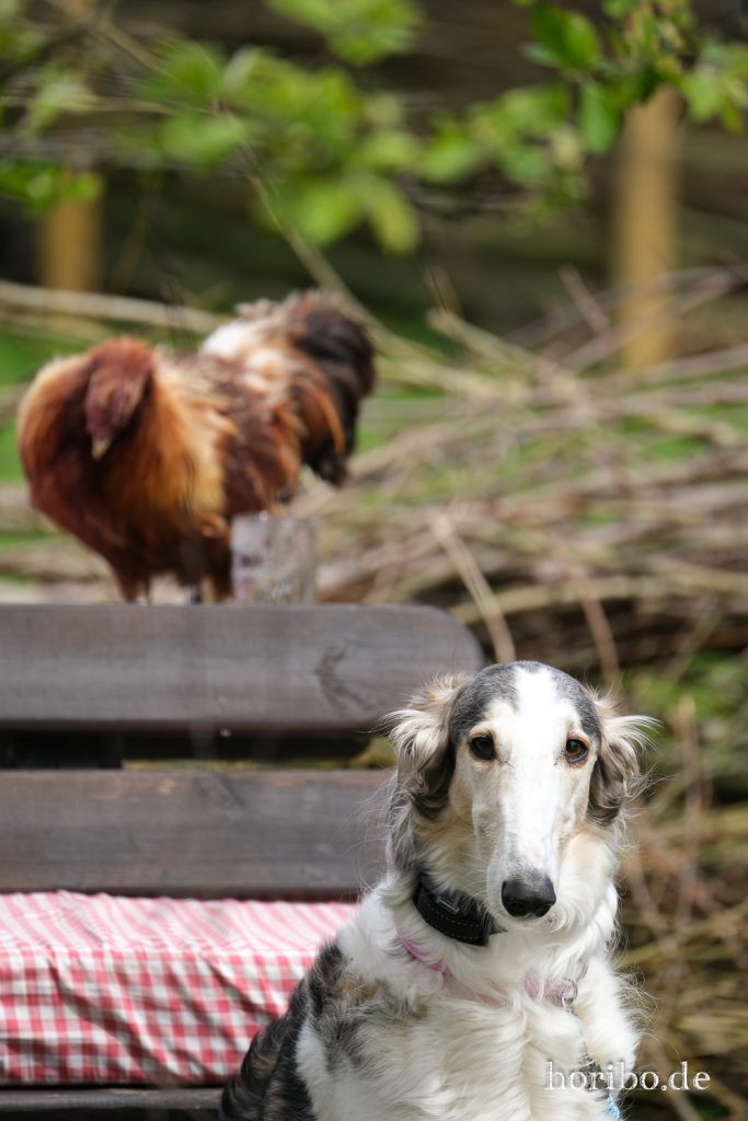 HR-23-05-01-14-34-31-6357