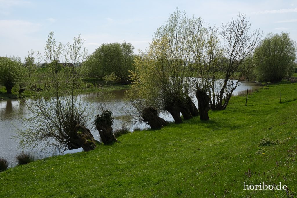 HR-23-05-01-14-46-52-6385