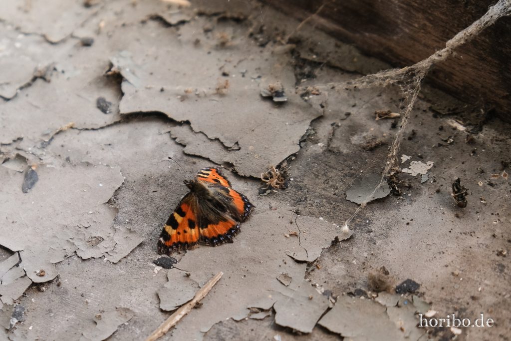 HR-23-05-13-12-26-26-7627