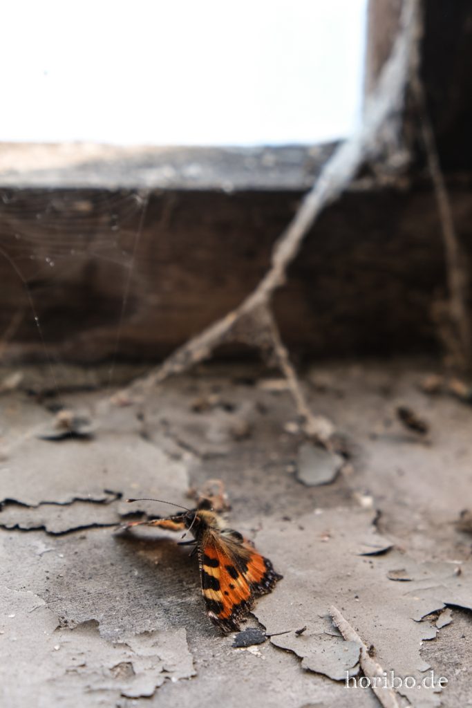 HR-23-05-13-12-27-01-7631