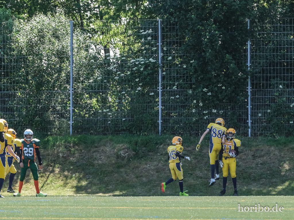 HR-23-06-10-11-30-55-1479