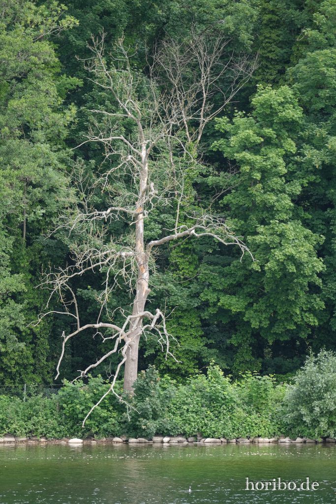 HR-23-06-15-11-26-00-2198