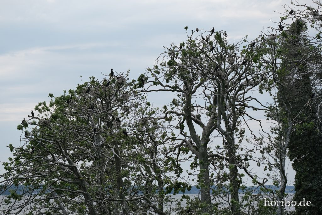 HR-23-06-15-11-47-50-2224