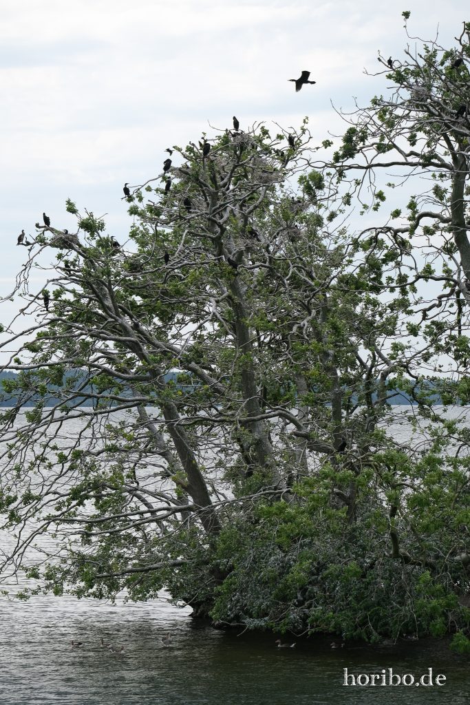 HR-23-06-15-11-47-58-2226