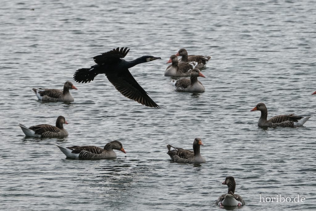 HR-23-06-15-11-48-37-2240