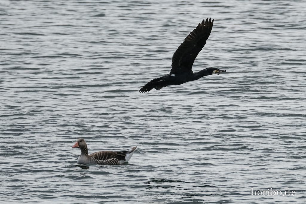 HR-23-06-15-11-48-39-2244