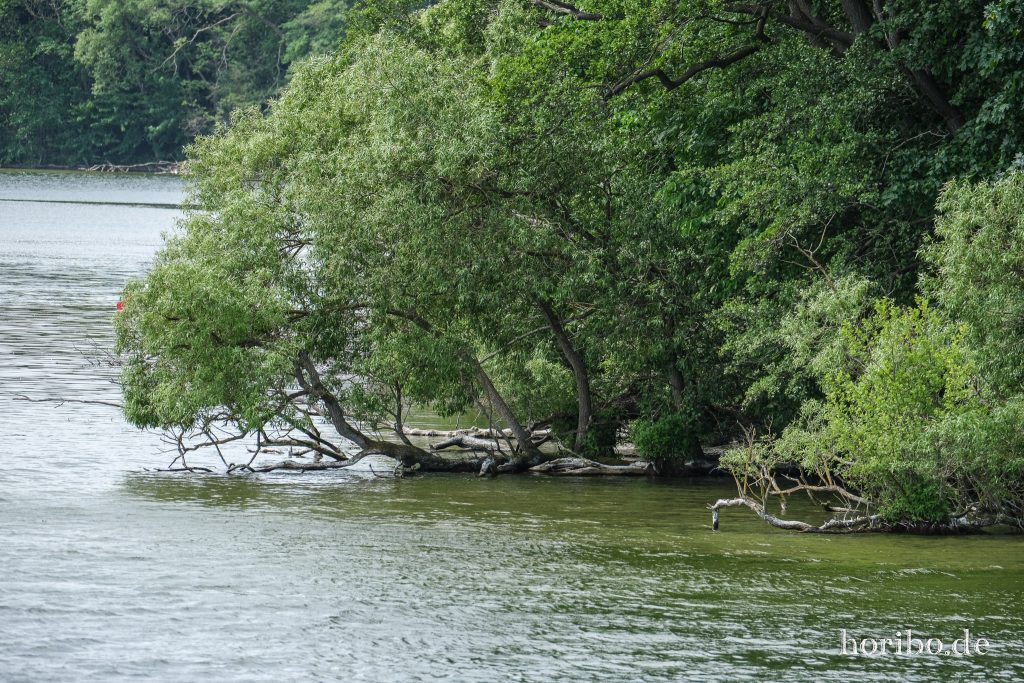 HR-23-06-15-11-53-44-2292