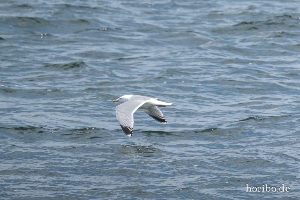 HR-23-06-15-12-34-23-2333