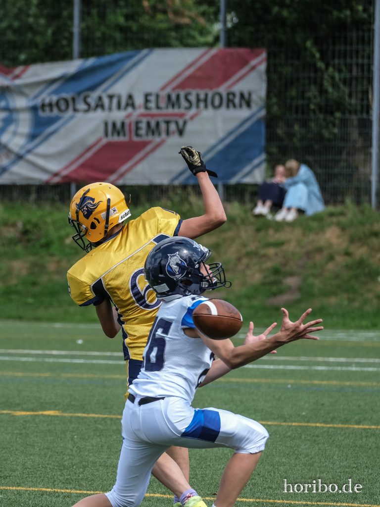 HR-23-07-02-16-04-00-2924